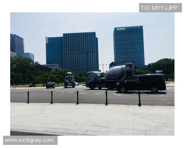 2018年大阪钢化与东京视频对比分析探讨两地文化差异与发展趋势