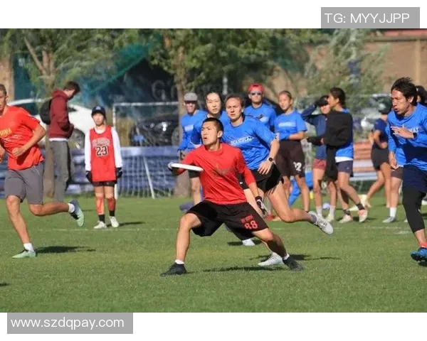 深圳飞盘队技术争议引发热议球迷和专家各执己见探讨战术与规则